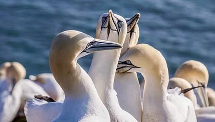 新乡伴游，定制QQ：3494206190微信：act1322